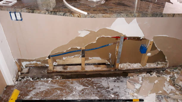 Best Flood restoration services  in Oakland, MD