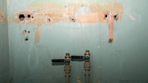 Best Emergency water extraction  in Oakland, MD