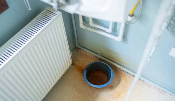Best Mold removal after water damage  in Oakland, MD