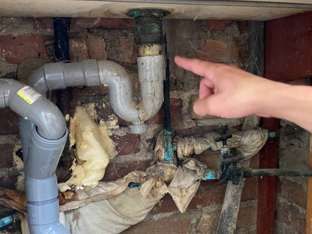 Best Fire Damage Restoration  in Oakland, MD
