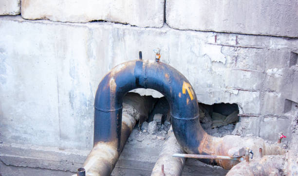 Best Local water damage restoration  in Oakland, MD