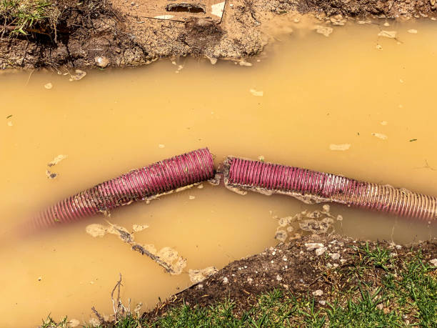 Best Flood damage cleanup  in Oakland, MD