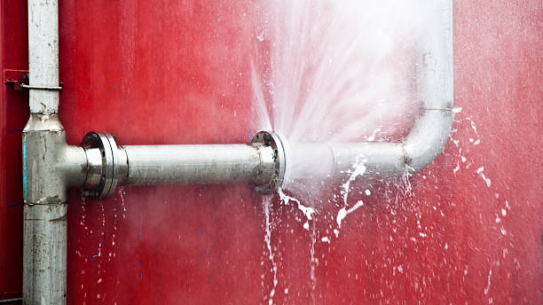 Best Water damage restoration mold remediation  in Oakland, MD