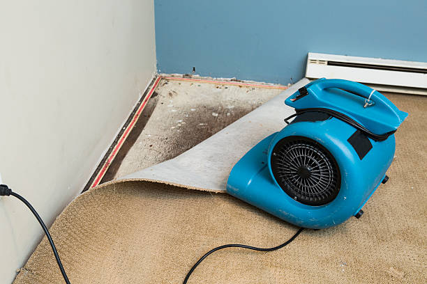 Best Basement water damage restoration  in Oakland, MD